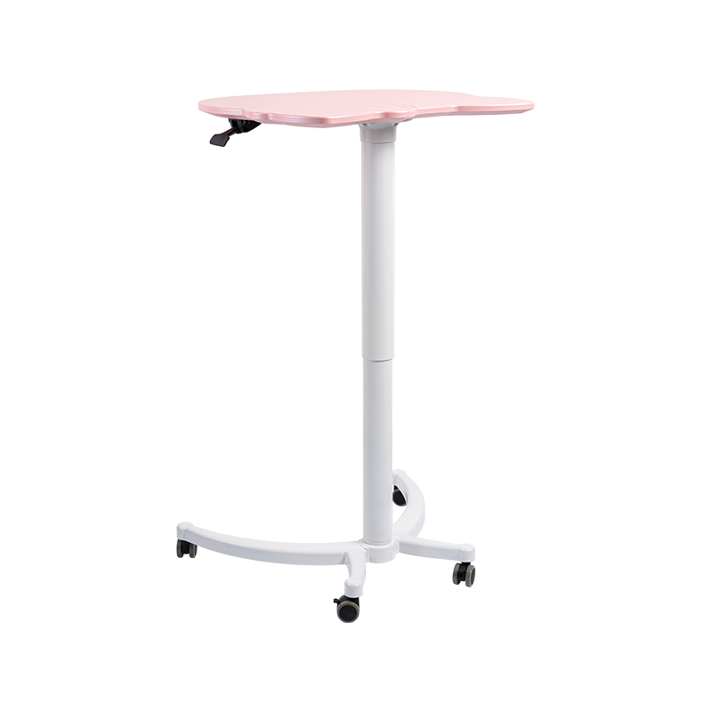 TH12 (Cat Head Leg Column + Cat Head Panel Column) Pneumatica Height-Adjustable Desk