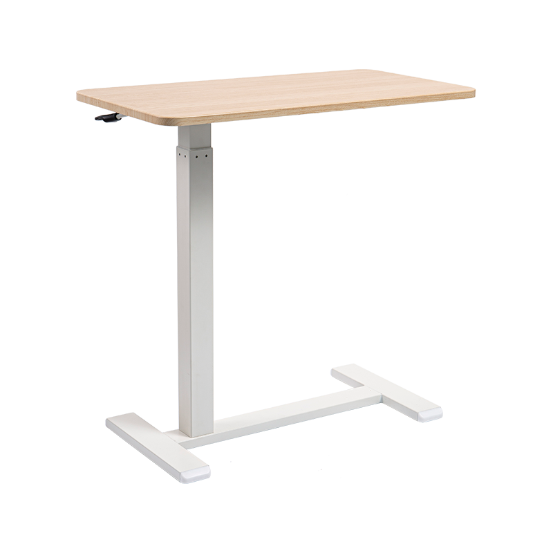 TH02 Eccentricum pneumaticum Height-Adjustable Desk