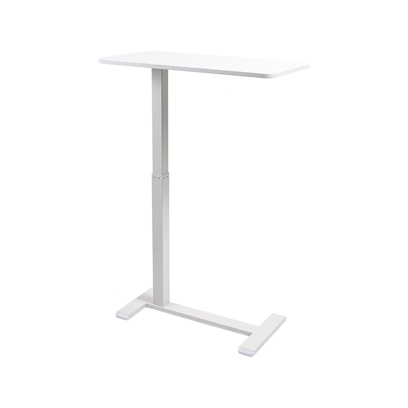 TH02 Eccentricum pneumaticum Height-Adjustable Desk
