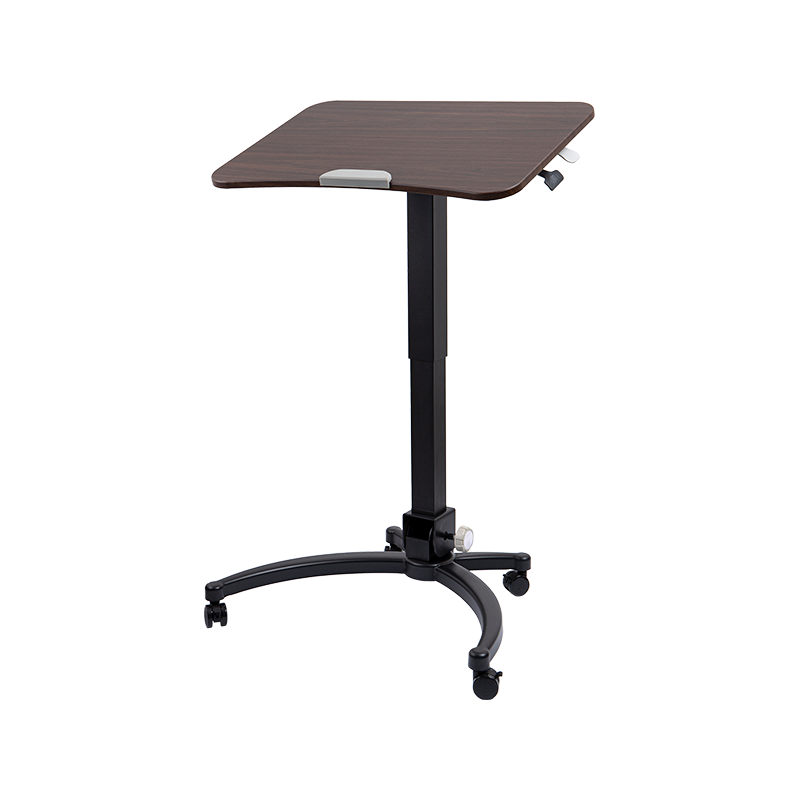 TH09 (Quadratum Aluminium Tube) Pneumatica Altitudo Novifacta Desk